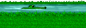 moat-nowall2.gif