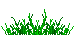 tall grass