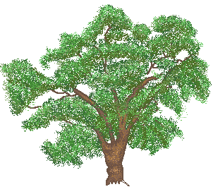 oaktree2.gif