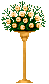 peach colored roses