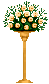 peach colored roses