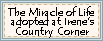 irenesmomadoptcert1.gif