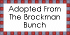 valentinecouple_bbaslogo.gif