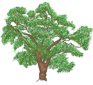 oaktree.gif