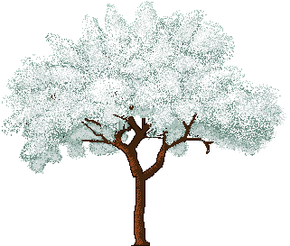 plumtree2.gif