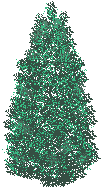btree2.gif