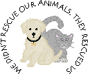 doggo and kitty