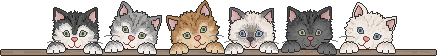 kitties in a row
