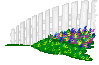 gf5b.gif
