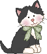 kitty