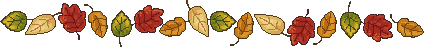 fall leaves