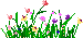 wildflowers2.gif