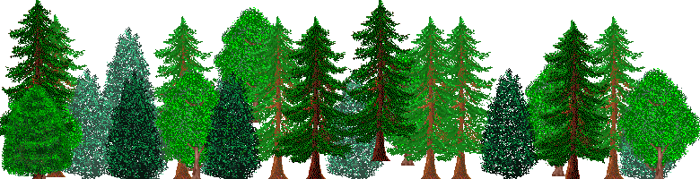 evergreen trees