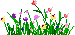 wildflowers2-a.gif