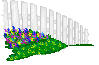 gf5.gif