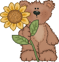 teddy bear with sunflower