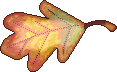 fall leaf