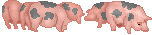 pigherd.gif