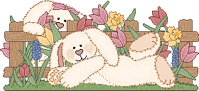 spring bunnies