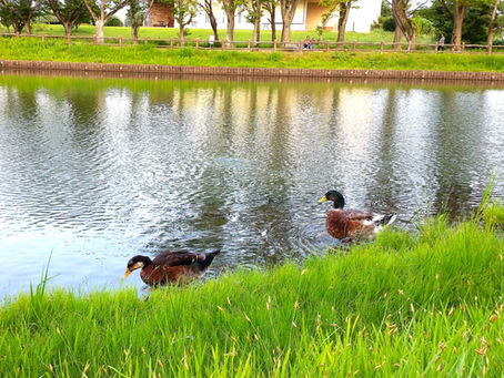 アドボカシーで幸せをつくる