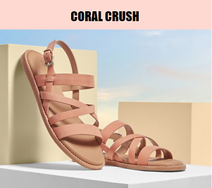 Clarks Colour Email
