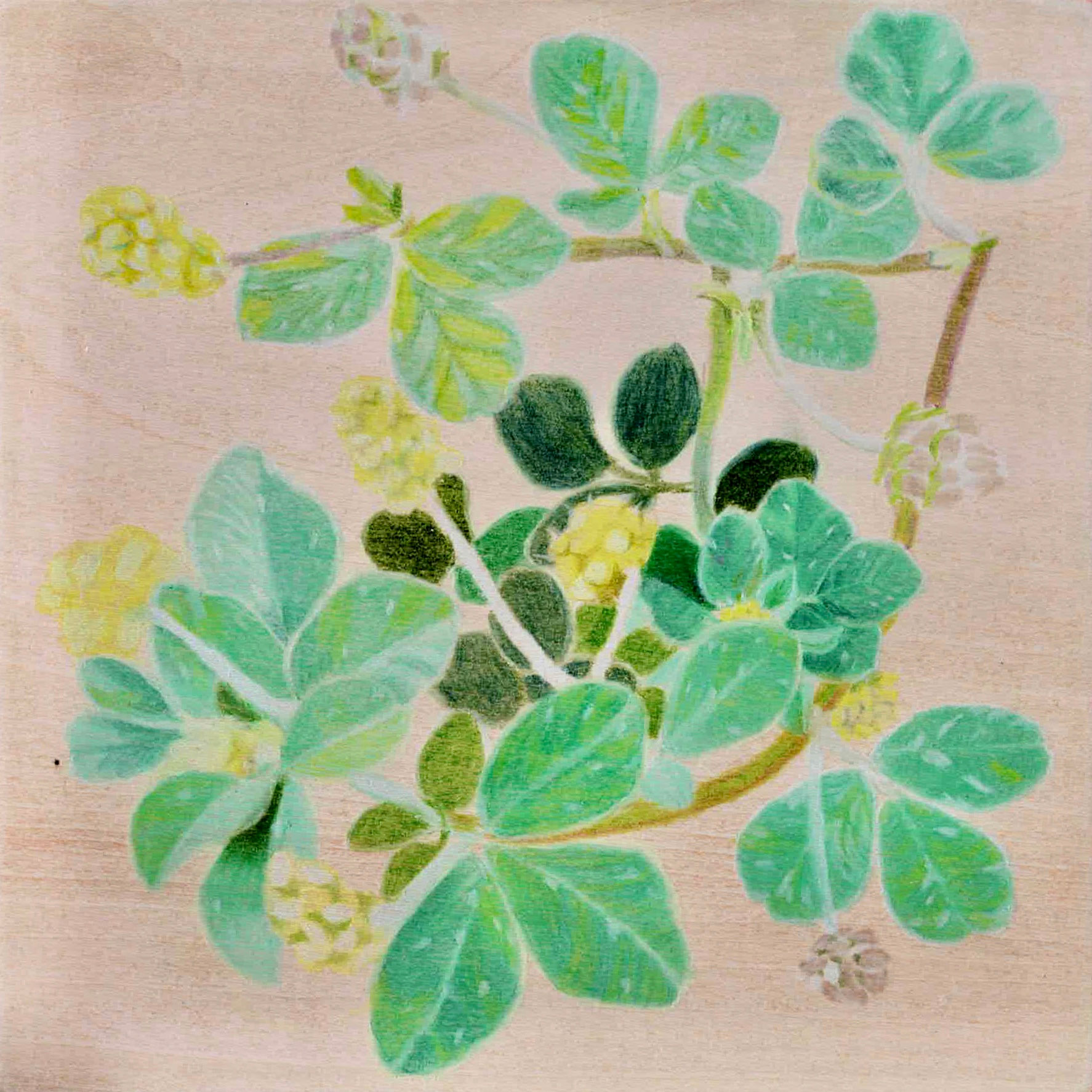 Time is Movin' : Black medic