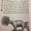 Thumbnail: Planimal Kingdom: World Flood Myths by Dasha Bazanova and John Digby
