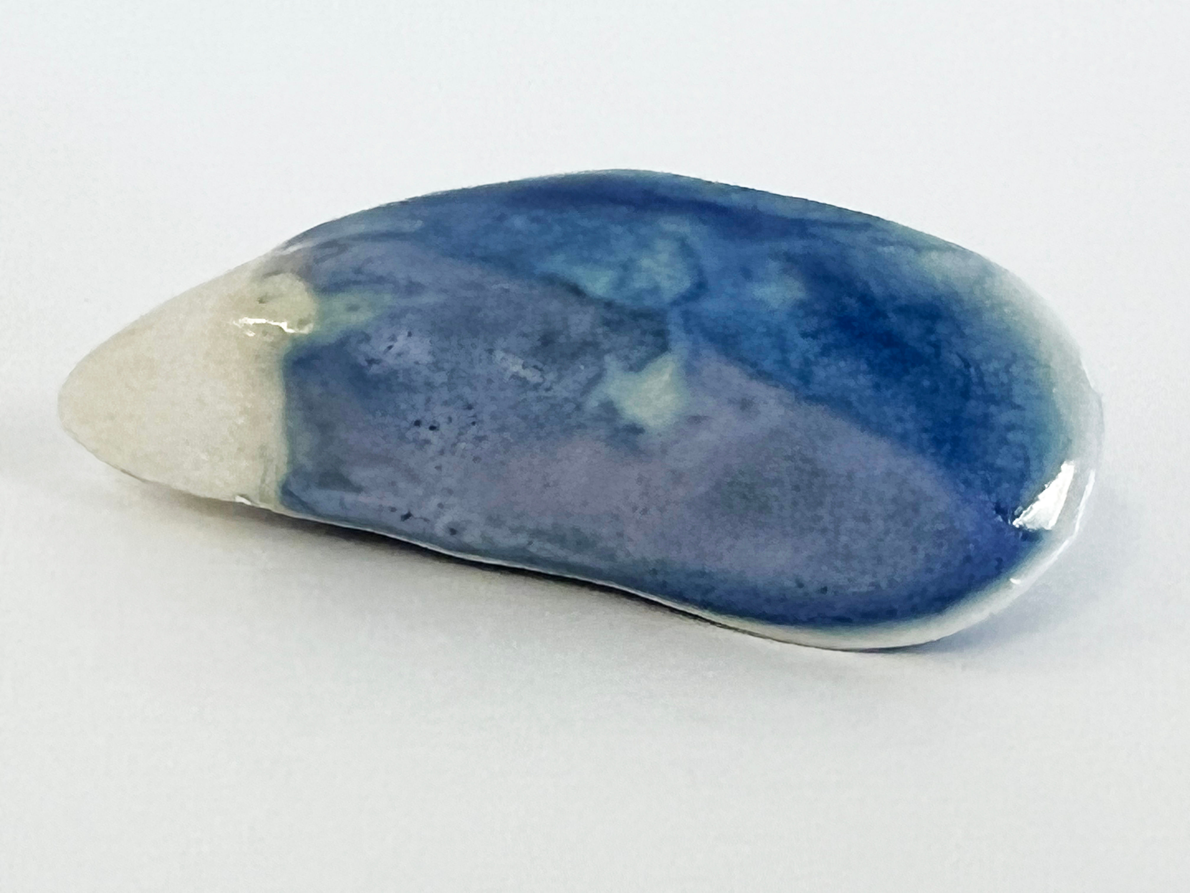 Wendy Foster “Coastal Mussels”