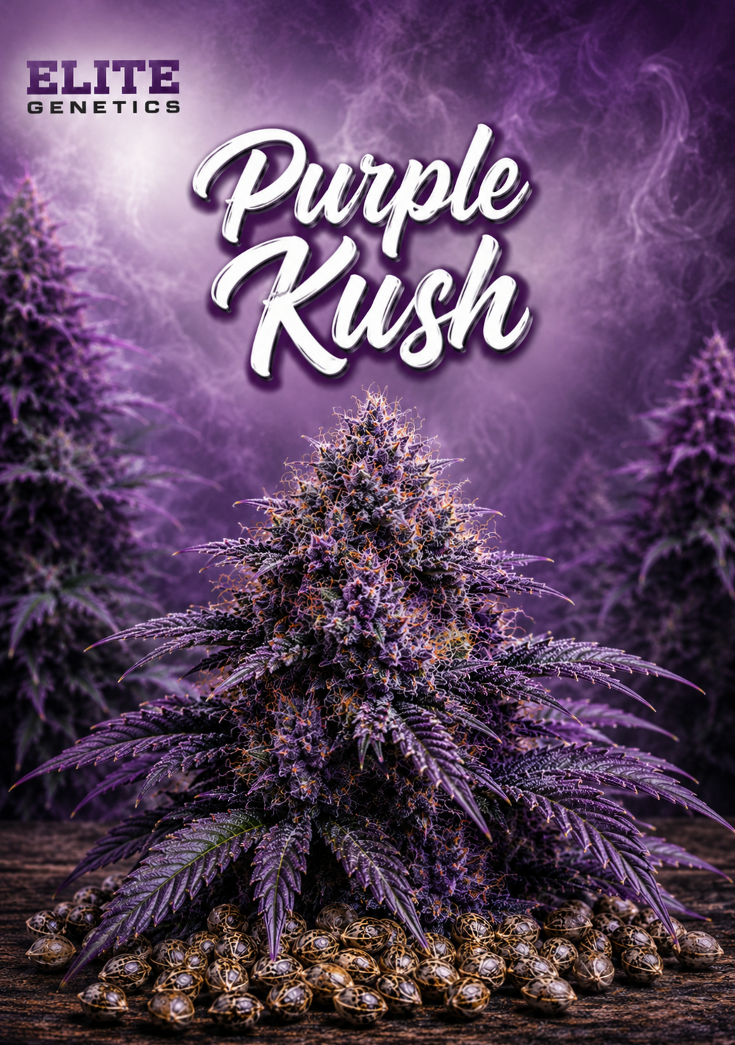 Purple Kush Seeds