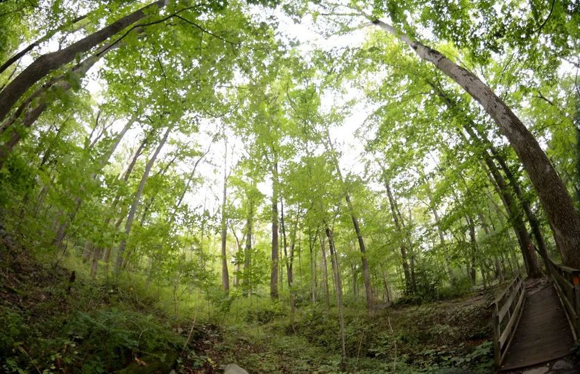 368680383_6920215354696987_652721847750864845_n