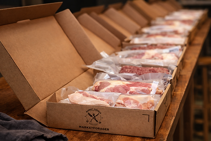 ChatGPT Image Mar 23, 2026, 09_32_59 PM.png