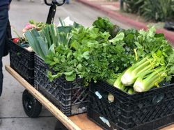 Market Cart