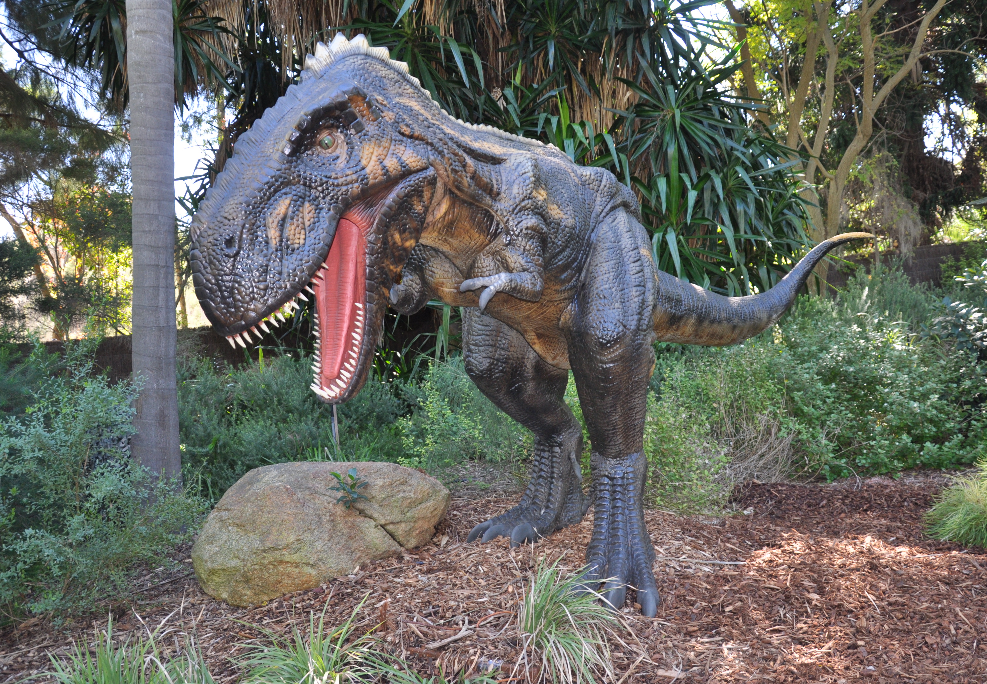 Nano Tyrannosaur