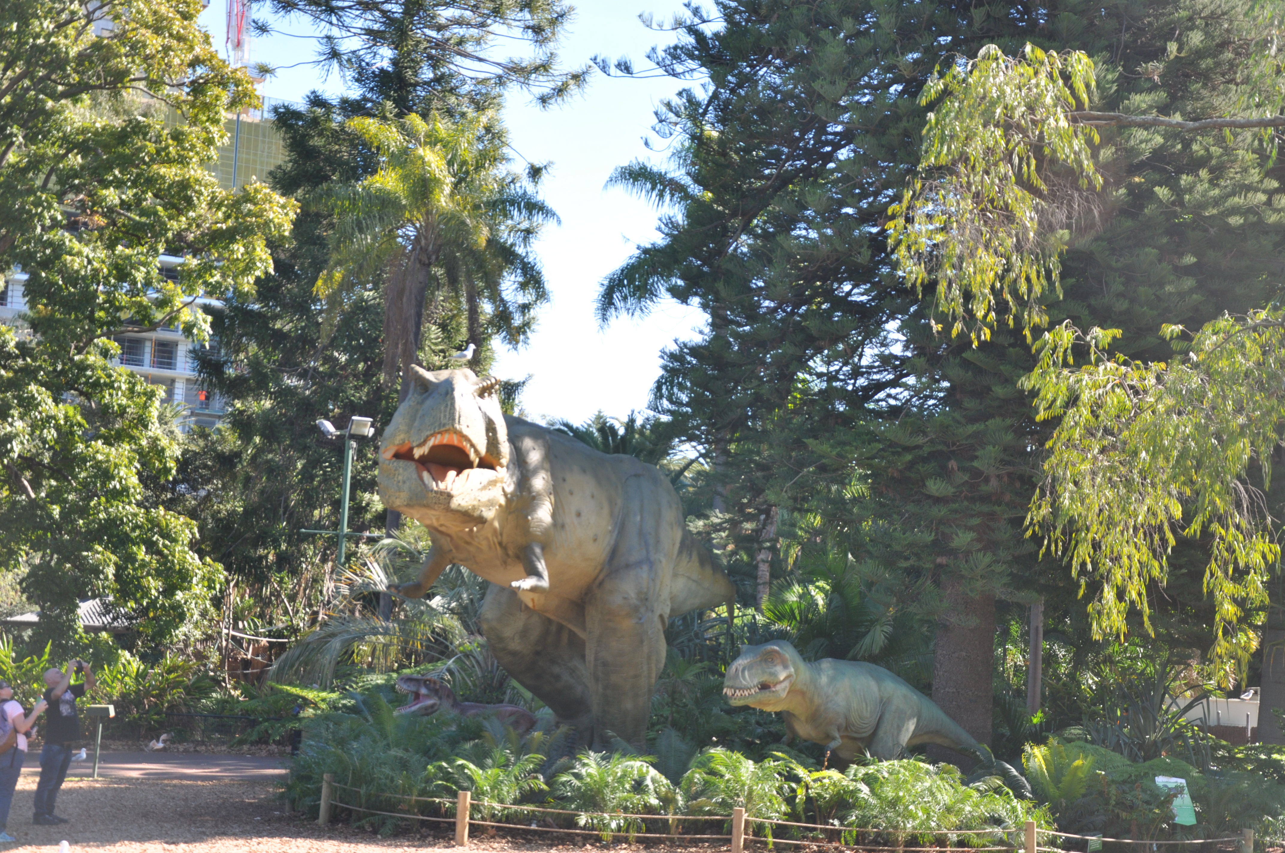 Tyrannosaurus Group - Perth Zoo