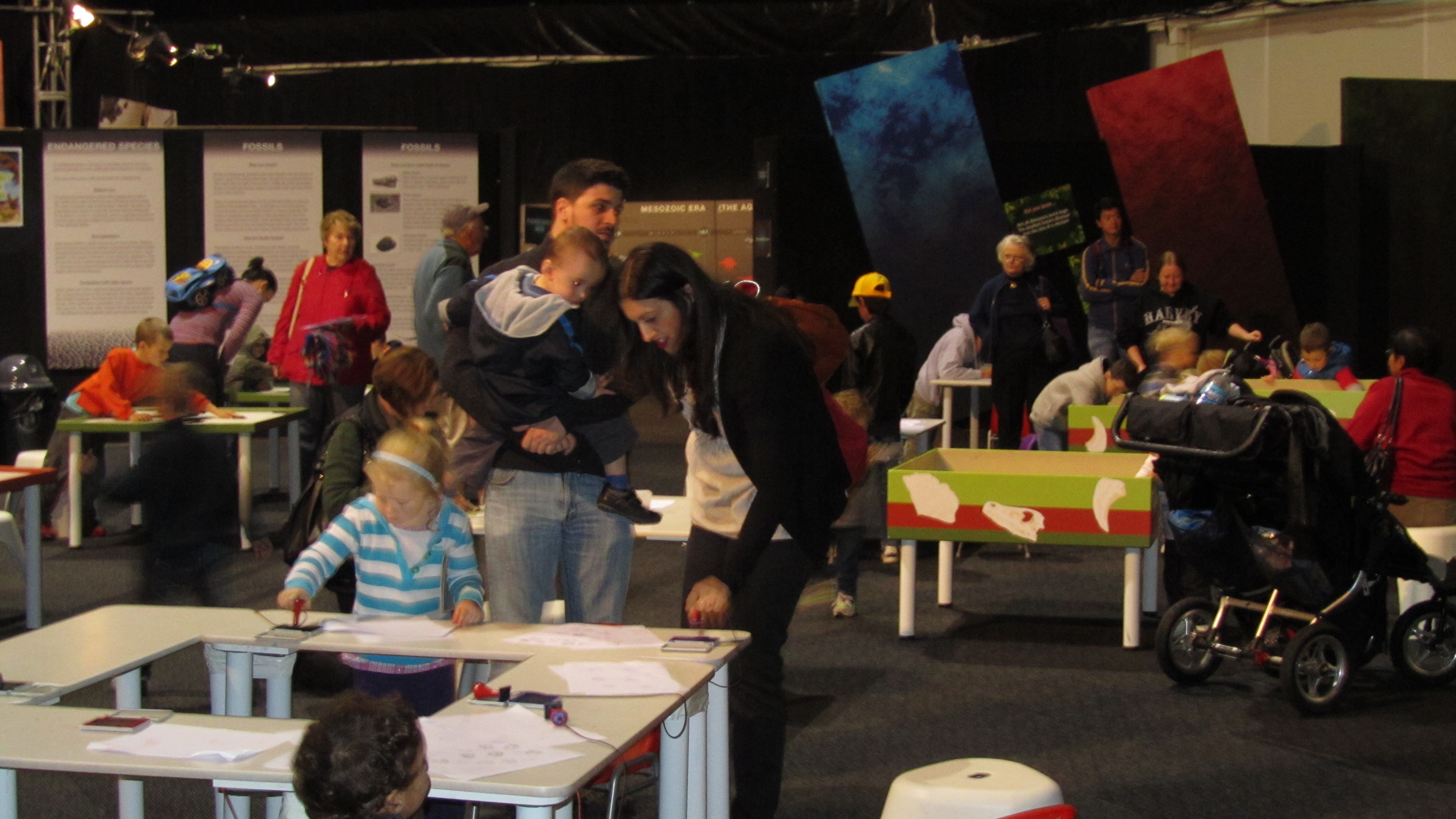 Interactives