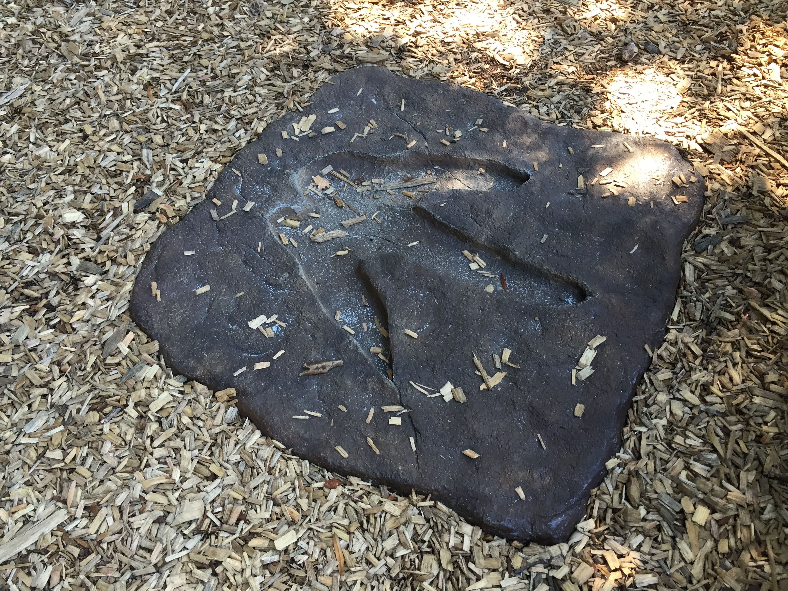Playzone Footprint