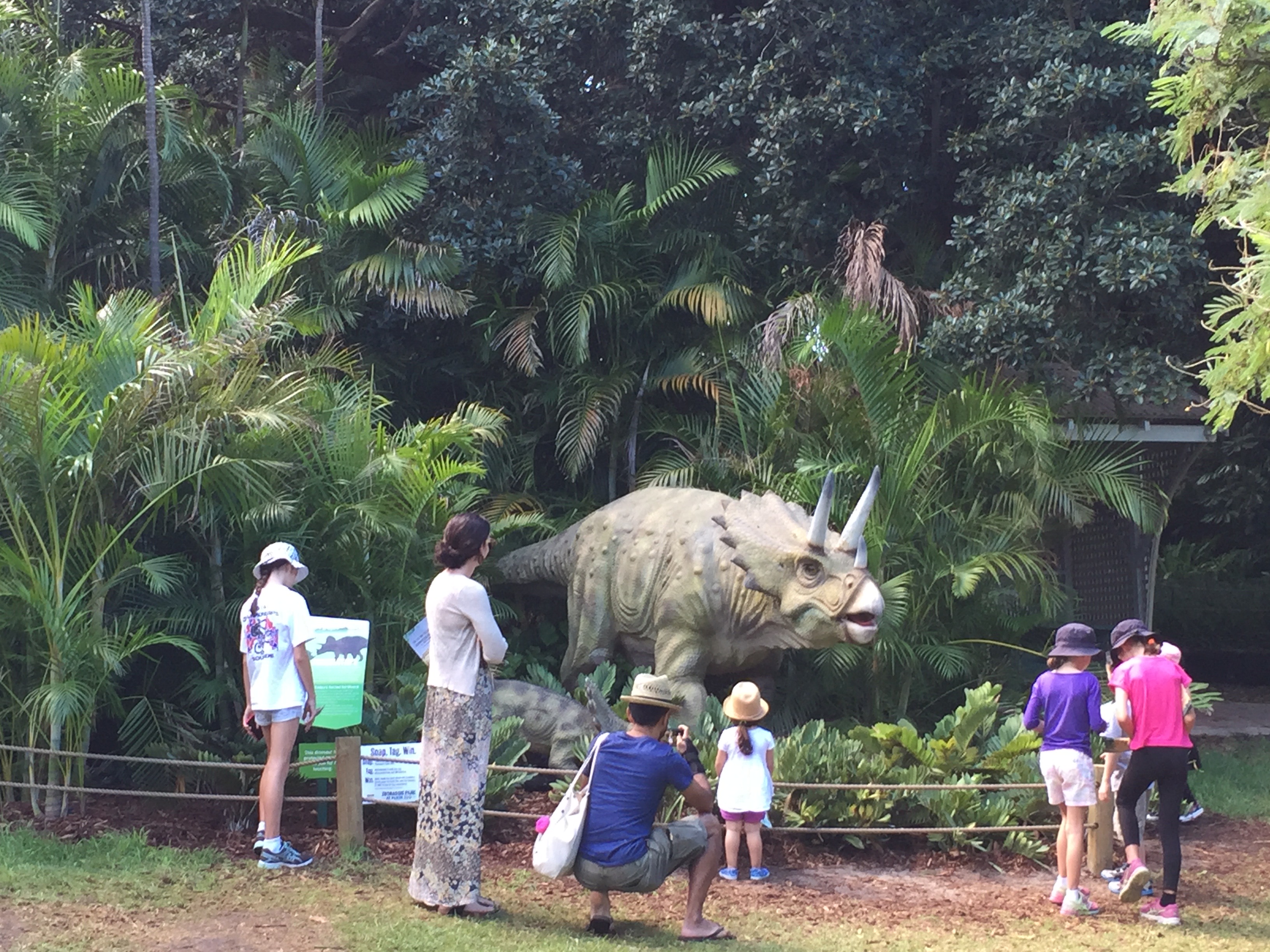 Triceratops and Baby - Perth