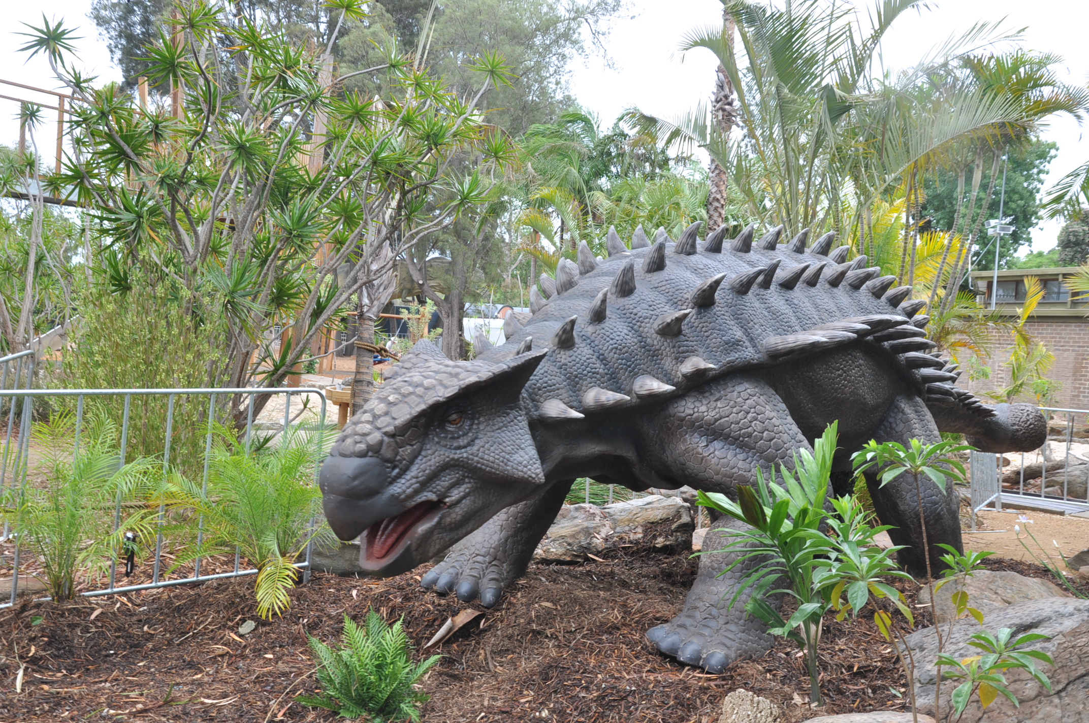 Ankylosaur - Adelaide Zoo
