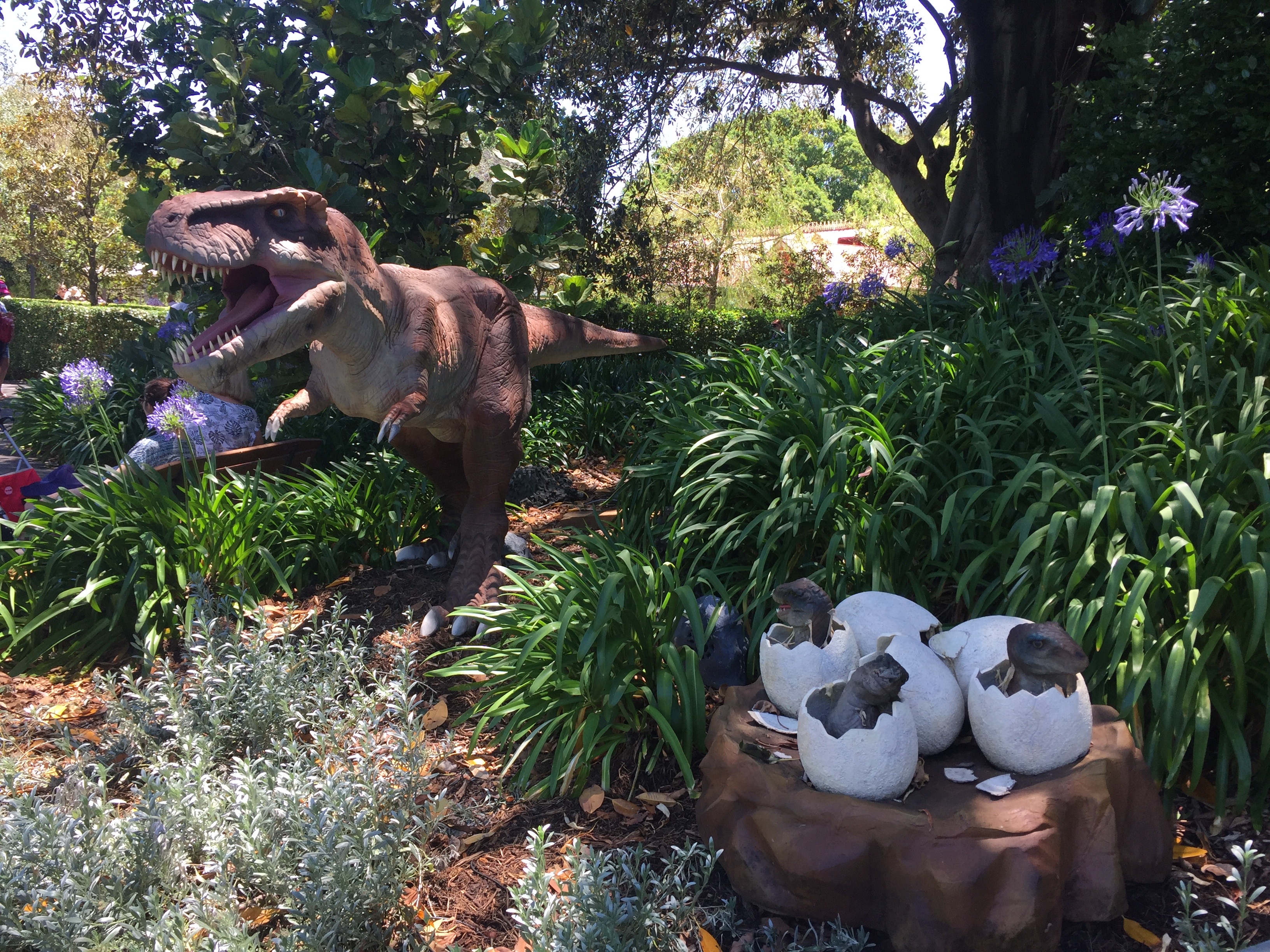 Baby Tyrannosaurus - Adelaide Zoo