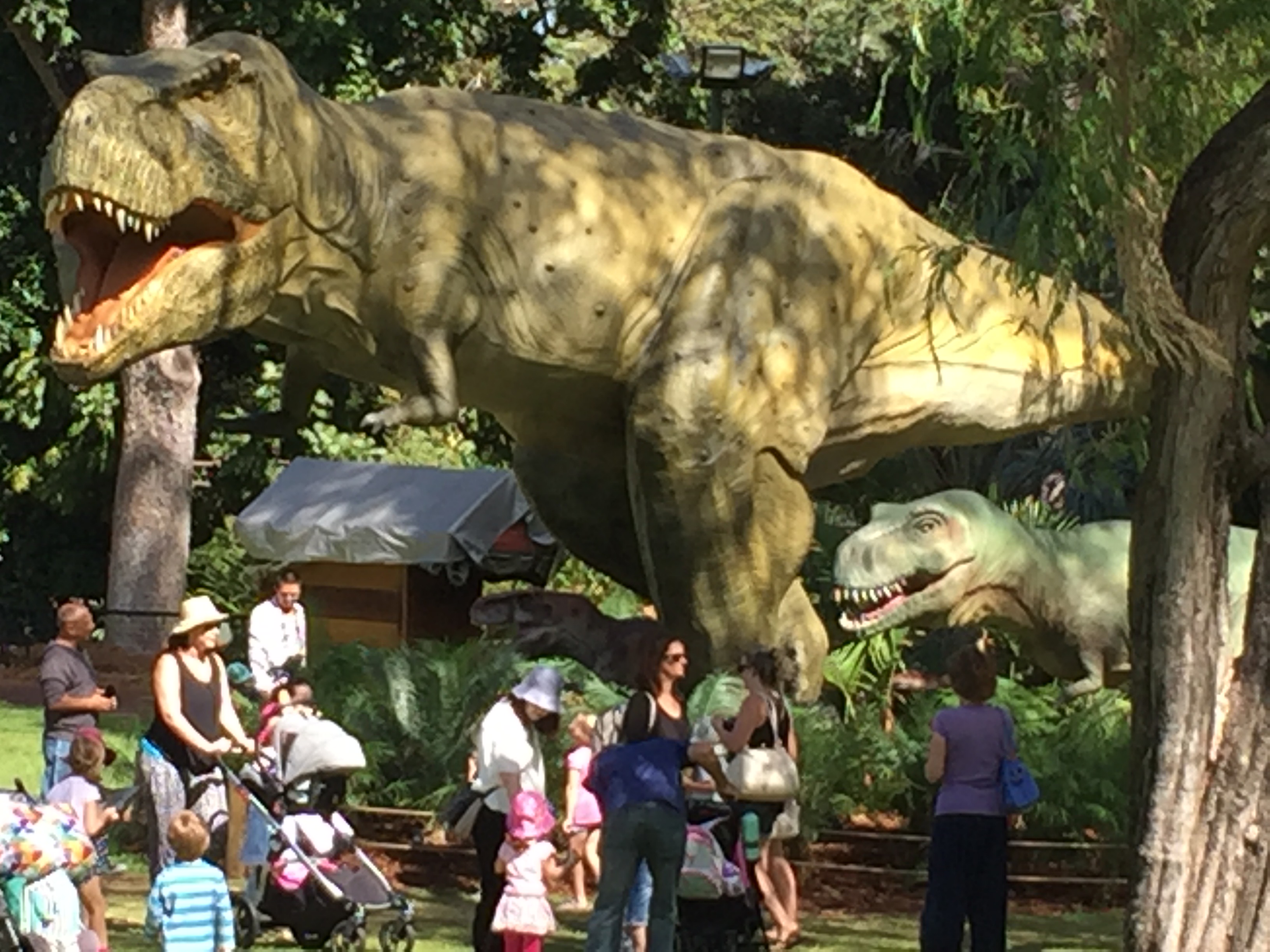 Tyrannosaurus - Perth Zoo