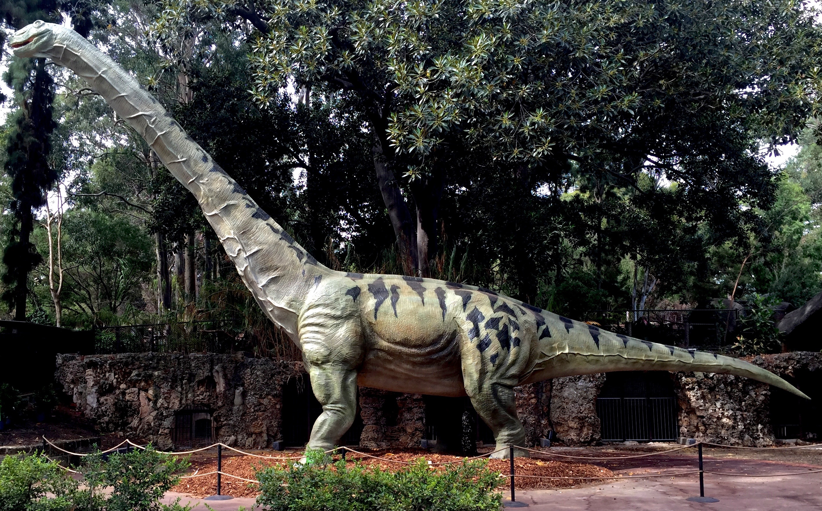 Argentinosaurus - Perth Zoo