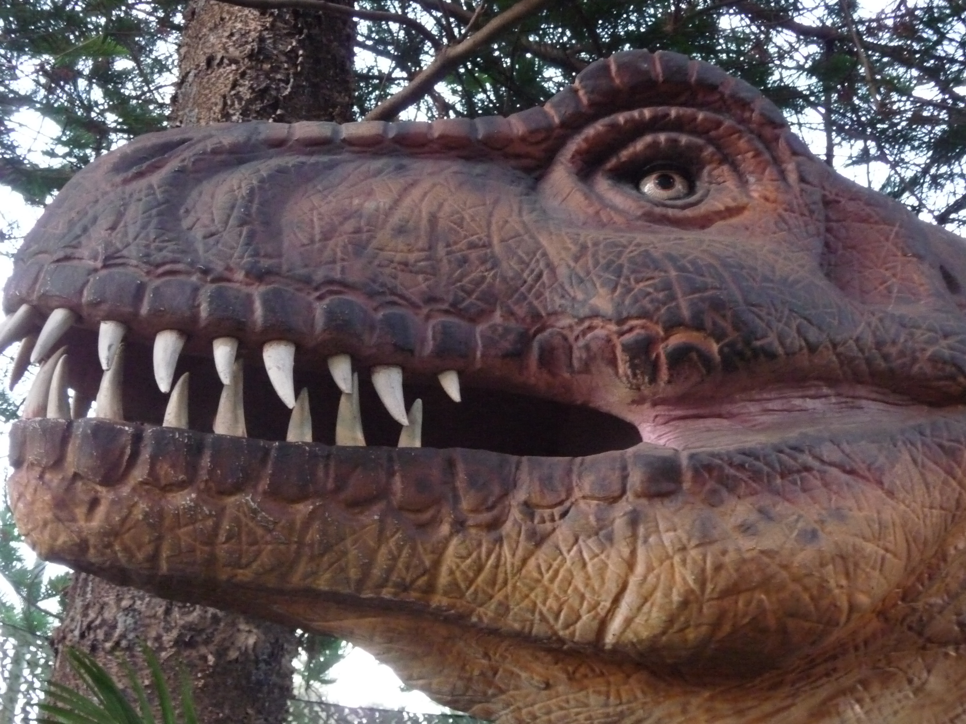Tyrannosaurus