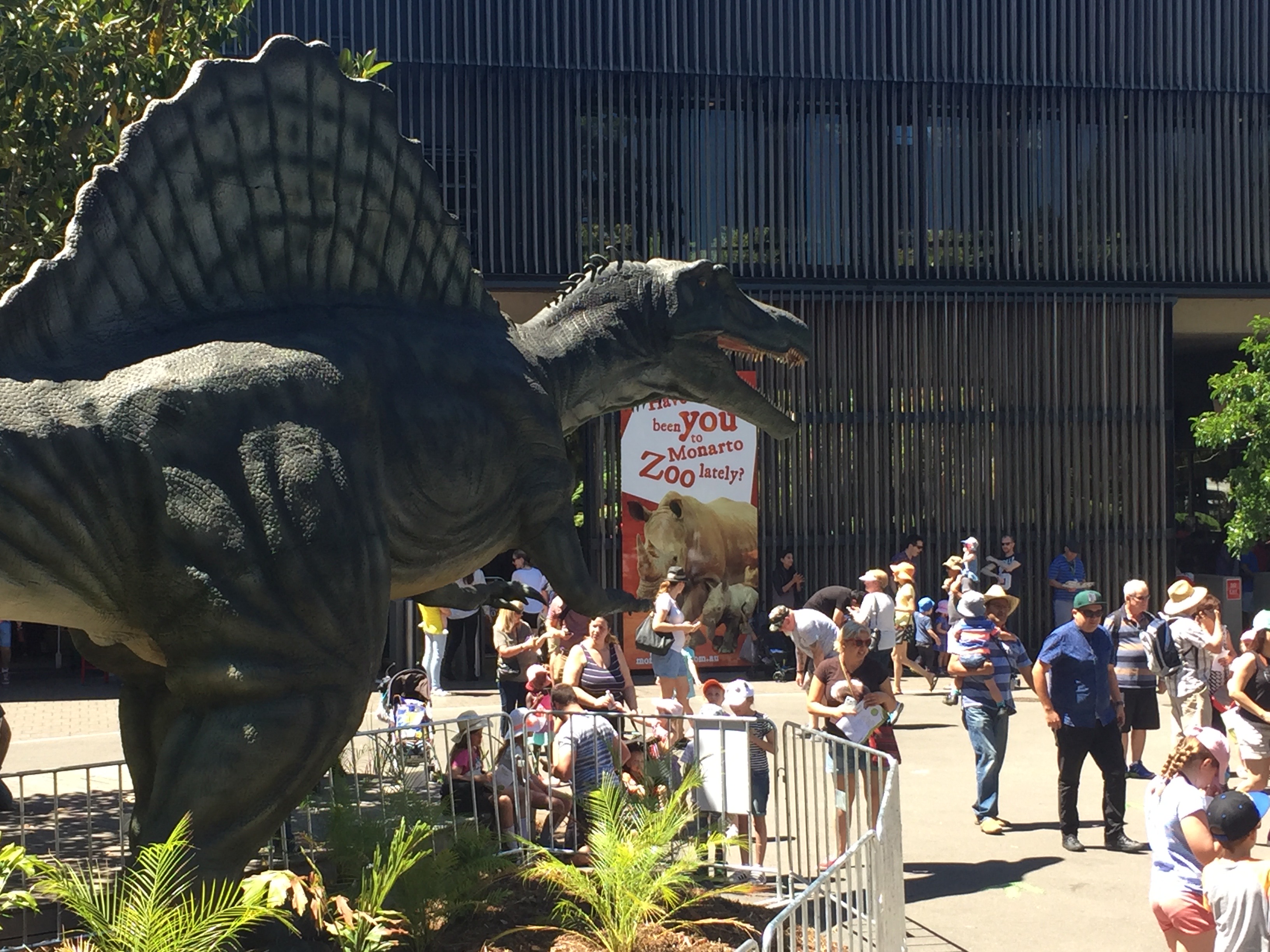 Spinosaurus - Adelaide Zoo