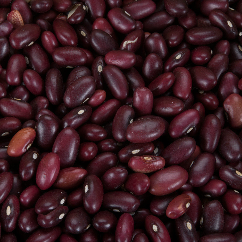 Bulk Organic Red Beans 1 lb.