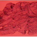 image04.png