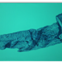 image09.png
