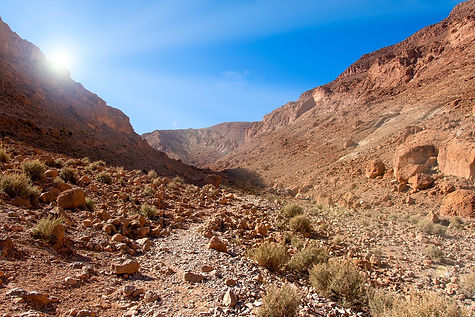canyon-4933119_1280.jpg