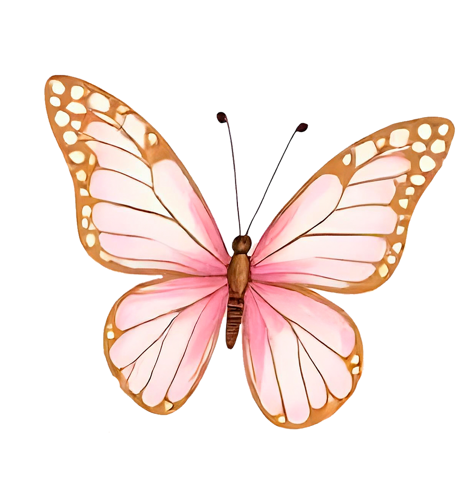 mariposa.png