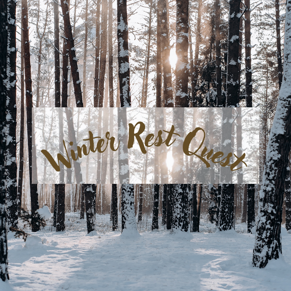 Winter Rest Quest