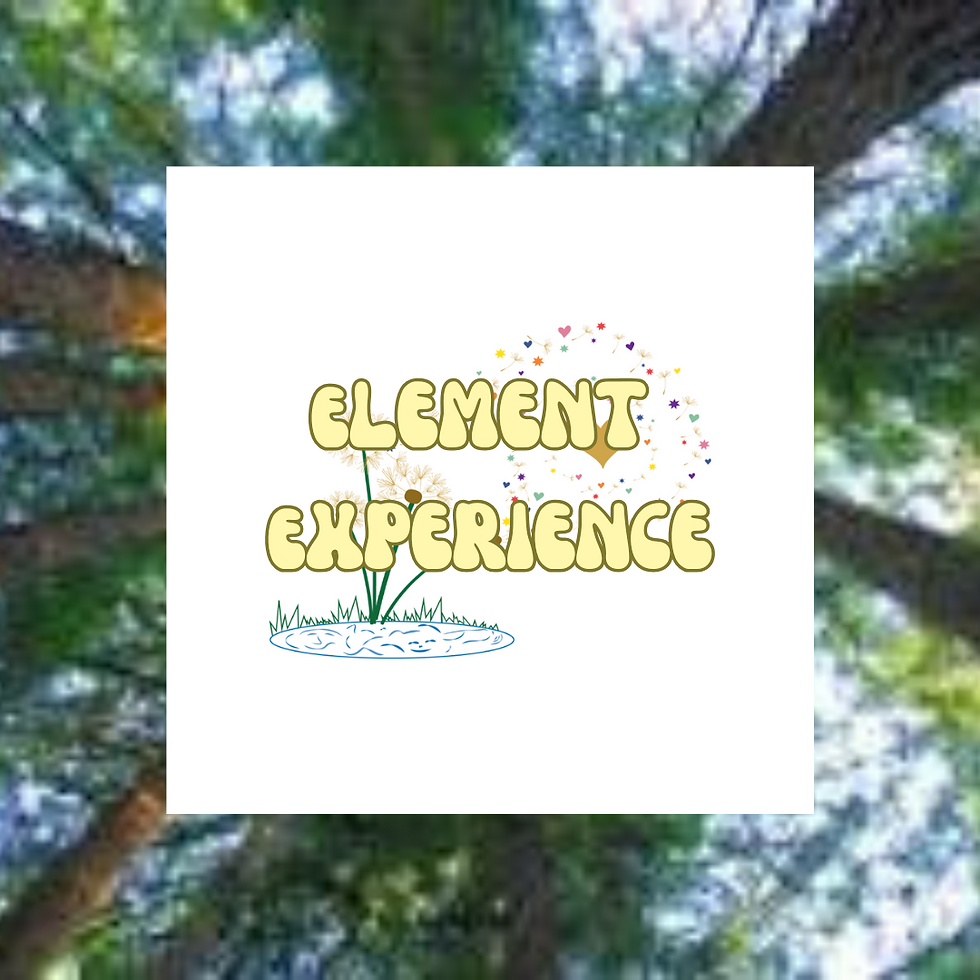 The Element Experience